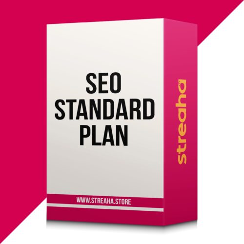 Standard SEO Plan
